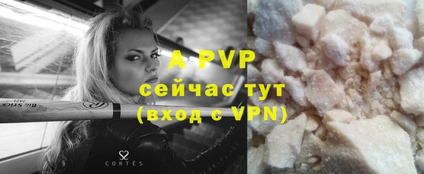 сатива Балахна