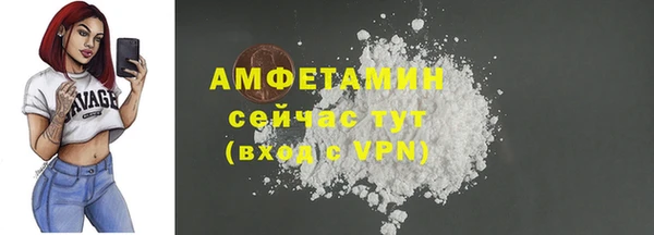 сатива Балахна