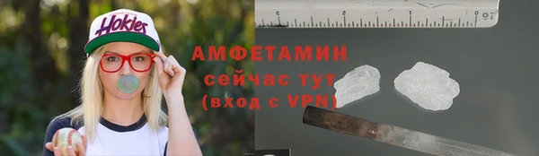 сатива Балахна
